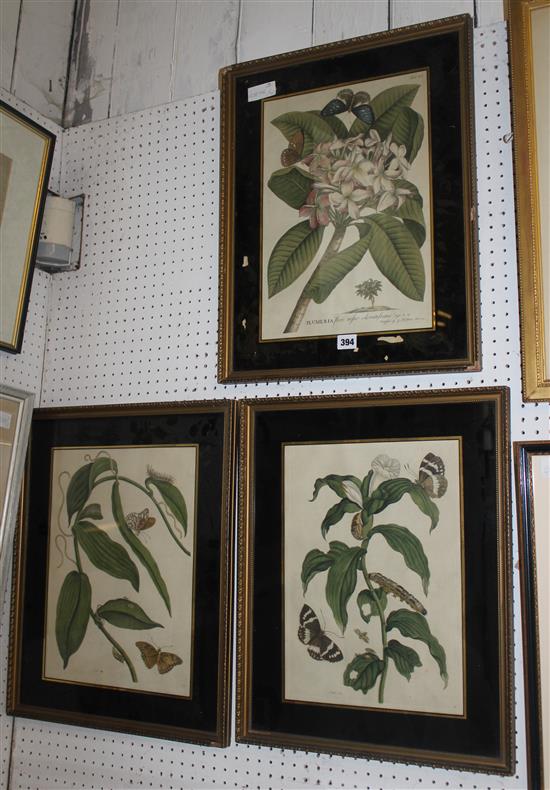 3 framed botanical prints